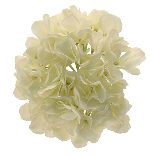 Cream Short Stem Hydrangea Artificial Silk Flower 51cm Product Gallery Image