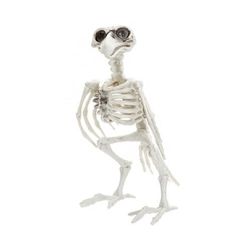 Crow Skeleton Halloween Plastic Prop Decoration 19cm View 2