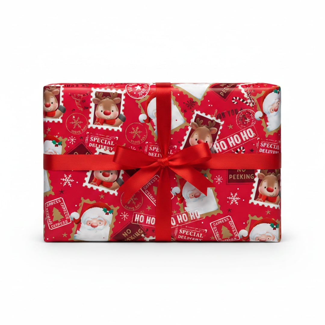 Cute Christmas Characters Express Delivery Red Gift Wrapping Paper Roll 4m Product Gallery Image