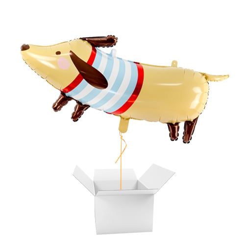 Dachshund Dog Giant Helium Foil Balloon - Inflated Balloon in a Box