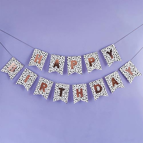 Dalmatian Happy Birthday Cardboard Letter Banner 200cm Product Gallery Image