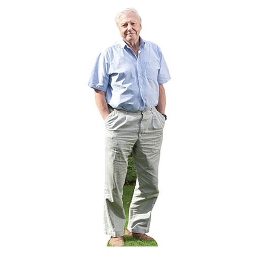 David Attenborough Mini Cardboard Cutout 90cm Product Gallery Image