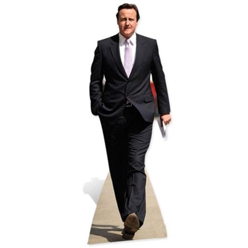 David Cameron Lifesize Cardboard Cutout - 183cm Product Gallery Image