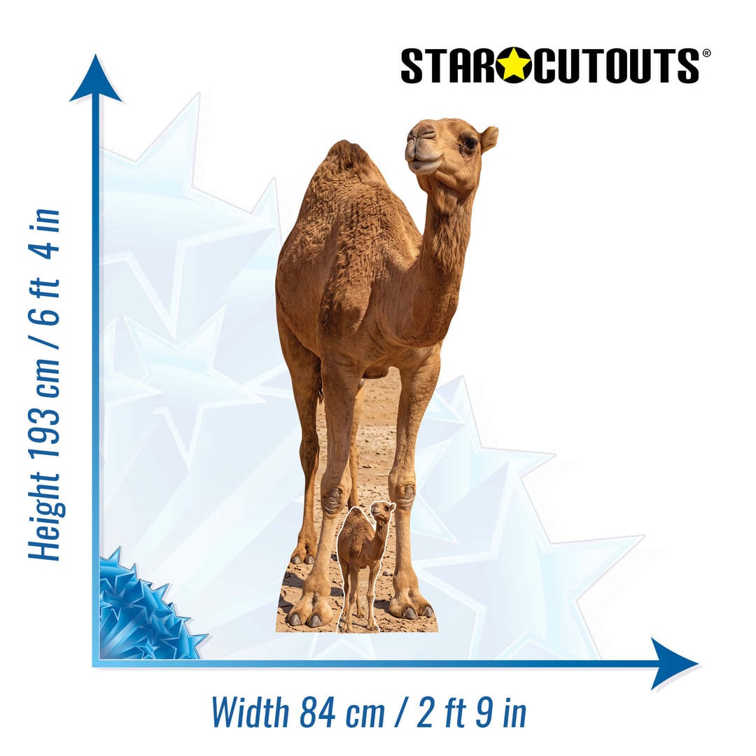 Desert Camel Lifesize Cardboard Cutout 193cm View 3