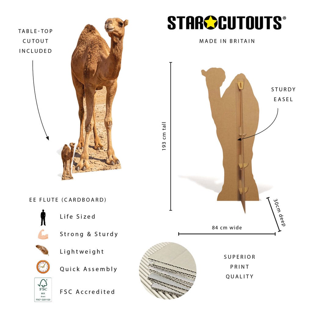 Desert Camel Lifesize Cardboard Cutout 193cm View 6