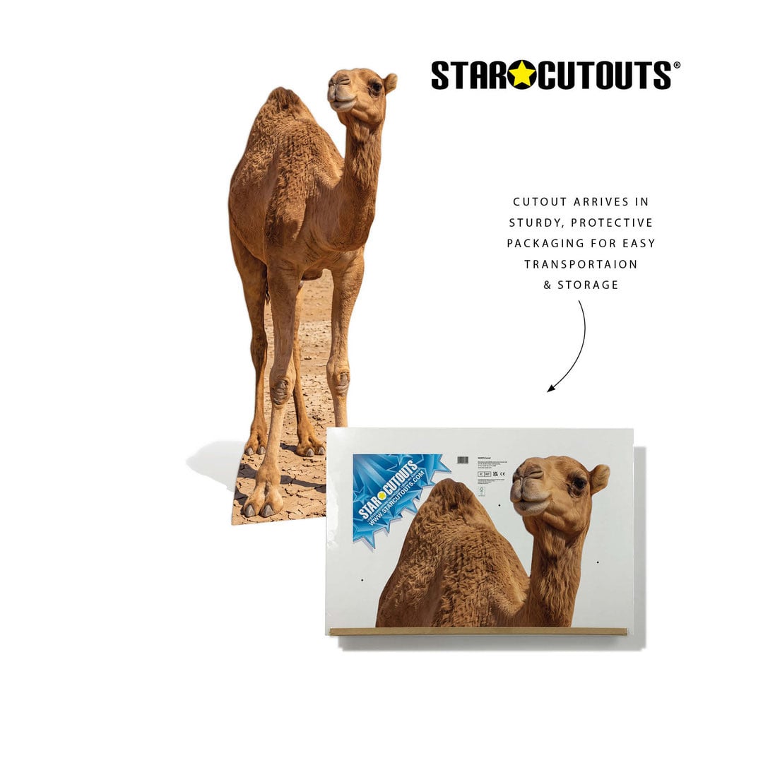 Desert Camel Lifesize Cardboard Cutout 193cm View 7