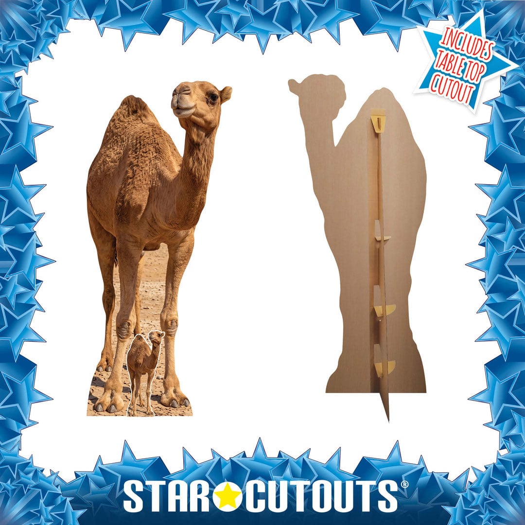 Desert Camel Lifesize Cardboard Cutout 193cm View 2