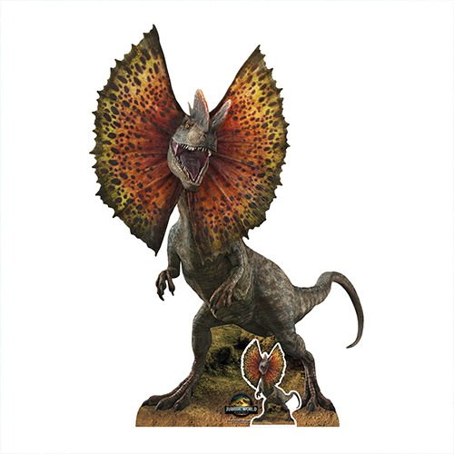 Dilophosaurus Dinosaur Jurassic World Rebirth Lifesize Cardboard Cutout 135cm Product Gallery Image