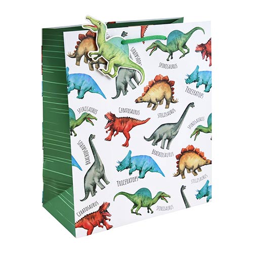 Dinosaur Large White Gift Bag 33cm Product Image
