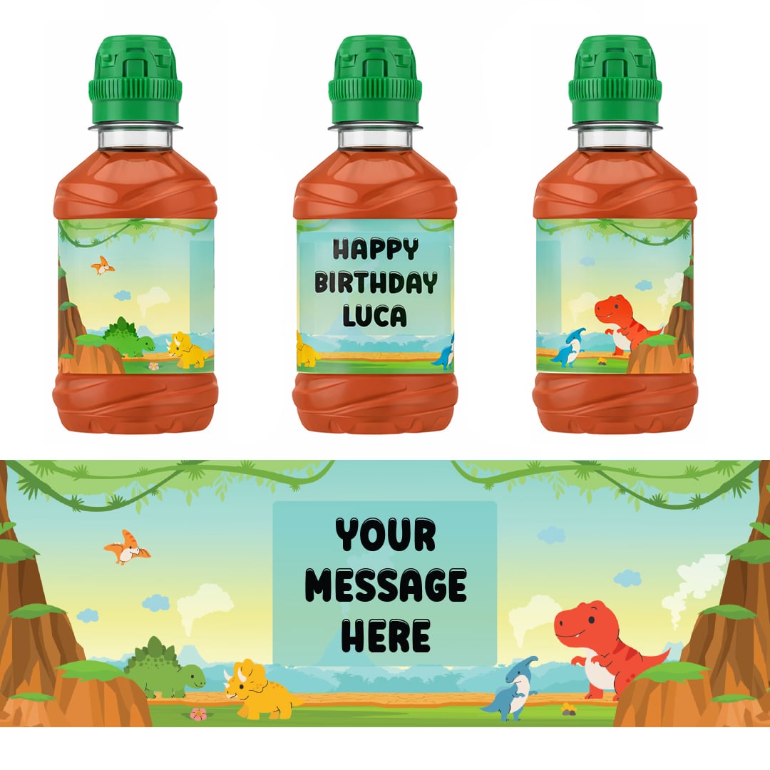 Dinosaur Personalised Drinks Bottle Packaging Label Stickers 20cm - Sheet of 7