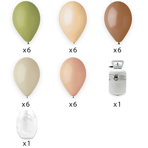 Disposable Helium Gas Canister with 30 Brown, Olive Green, Misty Rose, Latte Cream & Blush Nude Balloons and Curling Ribbon Product Gallery Image