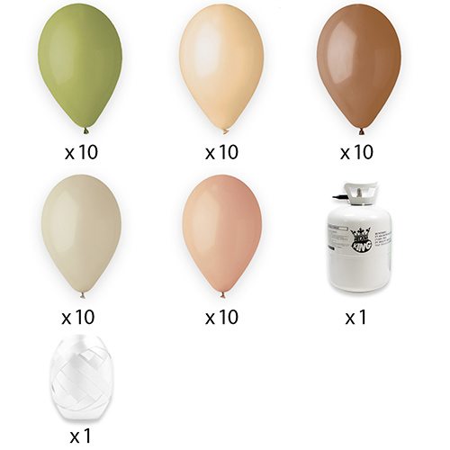 Disposable Helium Gas Canister with 50 Brown, Olive Green, Misty Rose, Latte Cream & Blush Nude Balloons and Curling Ribbon Product Gallery Image