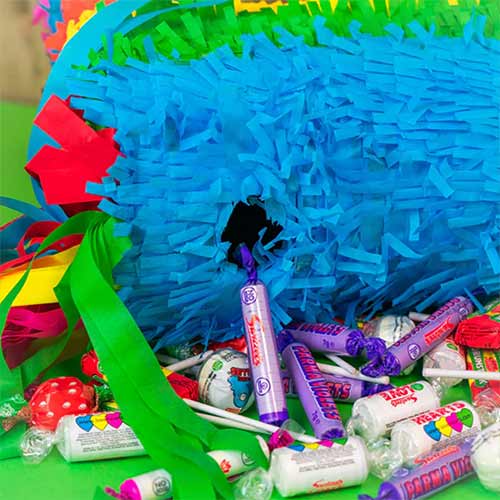 Donkey Standard Pinata 55cm Product Gallery Image