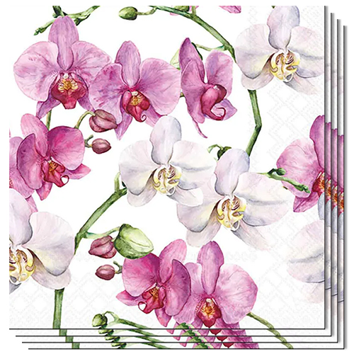Elegant Pink & White Orchids Paper Luncheon Napkins 3 Ply 33cm - Pack of 20