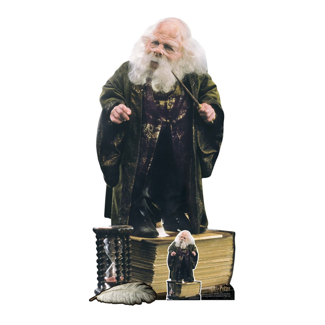 Filius Flitwick Early Harry Potter Warwick Davis Lifesize Cardboard Cutout 133cm