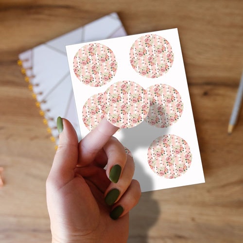 Floral Baby Pink Stripes Round Stickers 88mm - Sheet of 6 Product Gallery Image