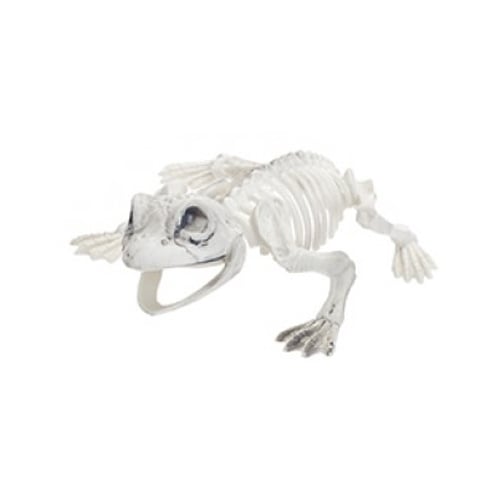 Frog Skeleton Halloween Plastic Prop Decoration 18cm View 2
