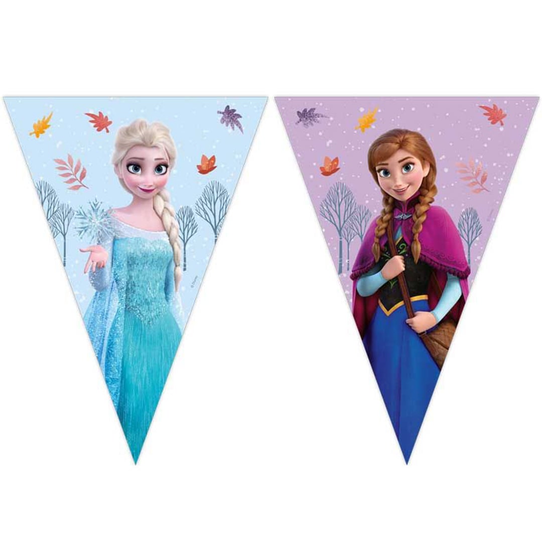 Frozen Idyllic Wonder Disney Princess Paper Triangle Flag Bunting Banner 2.3m