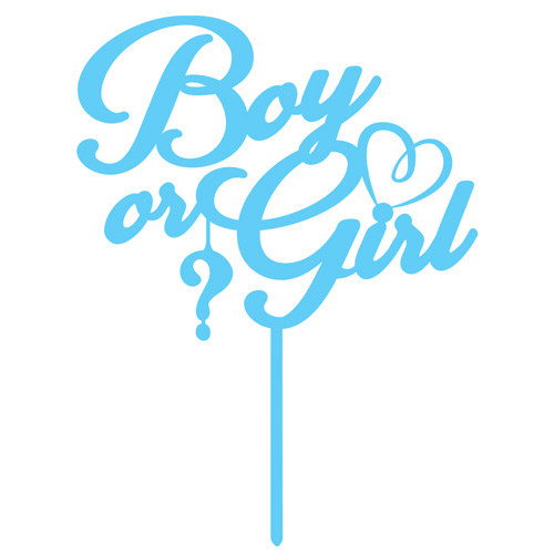 Gender Reveal Boy or Girl Acrylic Cake Topper Product Gallery Image