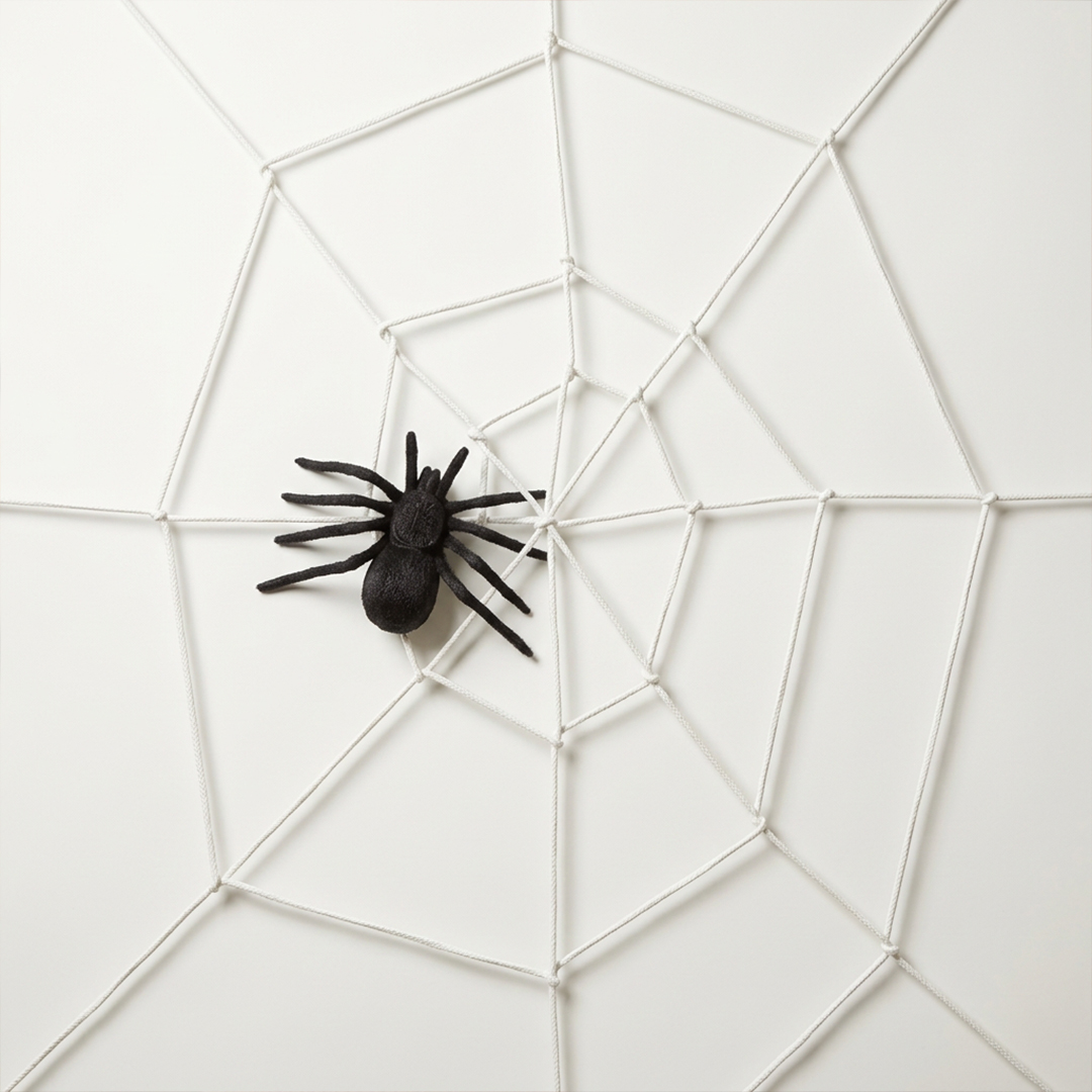 Giant Cobweb with Spider Halloween Decoration 1.5m