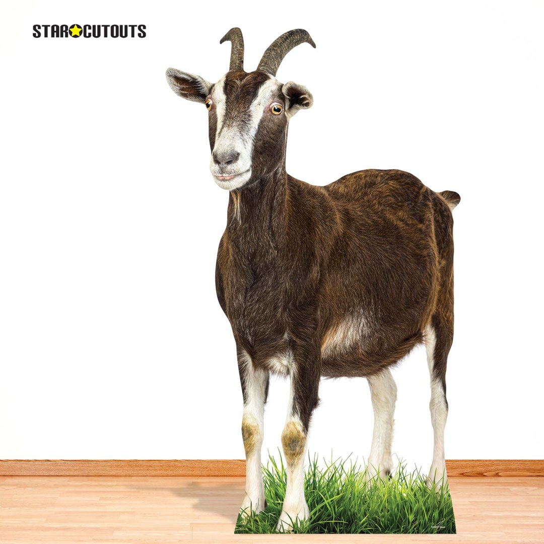 Goat Lifesize Cardboard Cutout 133cm View 8