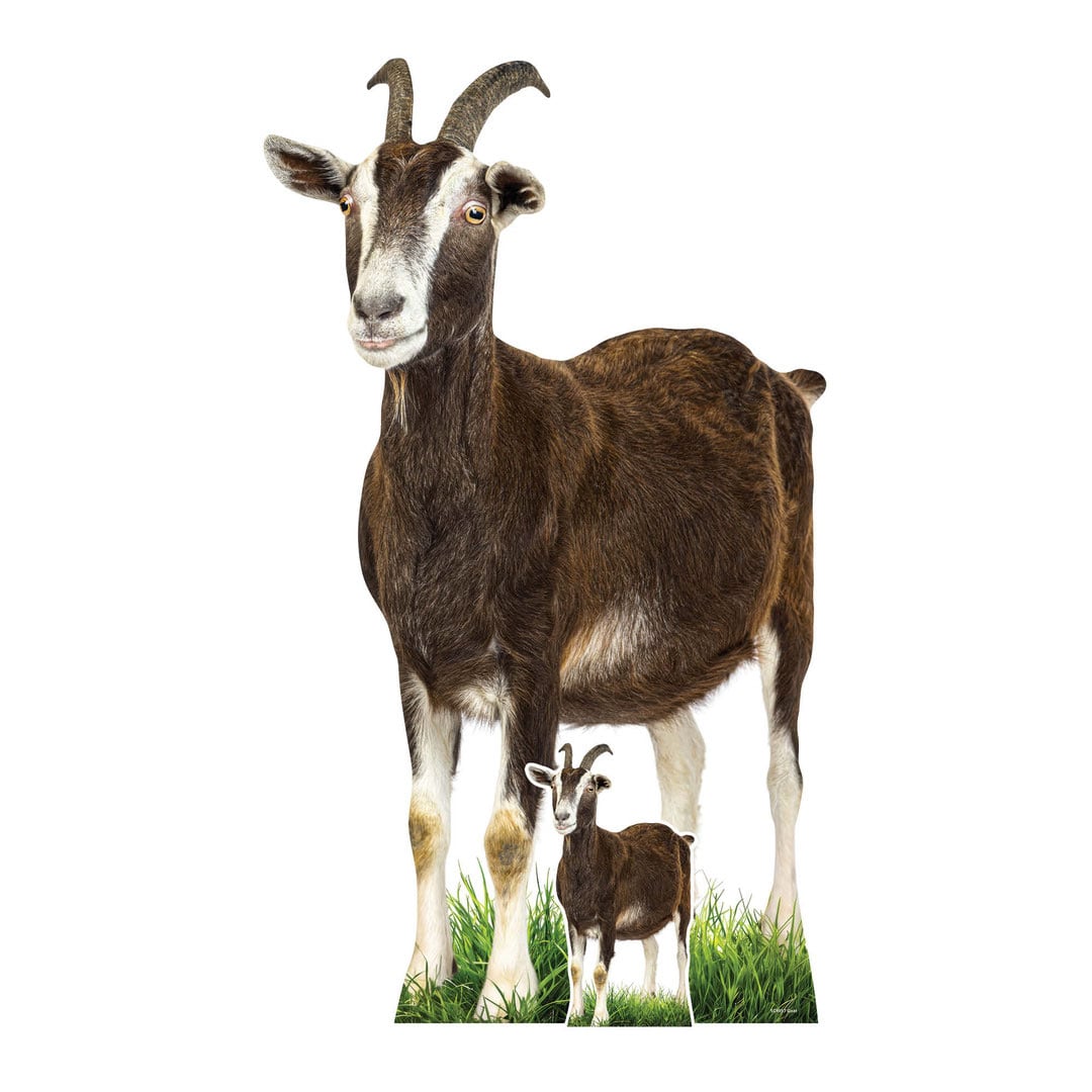 Goat Lifesize Cardboard Cutout 133cm