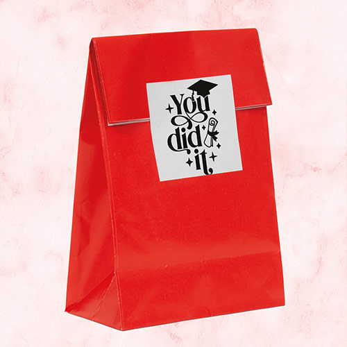 Graduation You Did It Square Stickers 65mm - Sheet of 12 Product Gallery Image