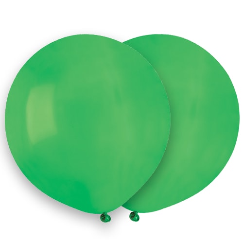 Green Biodegradable Latex Balloons 48cm / 19 in - Pack of 25 Product Image