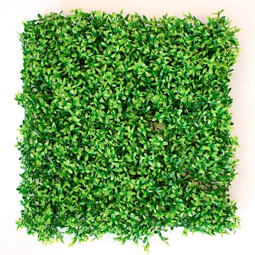 Green Plant Flower Wall Panel 50cm x 50cm Product Image