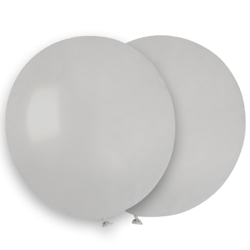 Grey Biodegradable Latex Balloons 48cm / 19 in - Pack of 25 Product Image