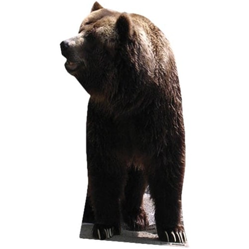 Grizzly Bear Lifesize Cardboard Cutout - 165cm Product Gallery Image