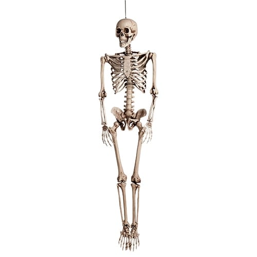 Halloween Skeleton Lifesize Hanging Prop Decoration 150cm
