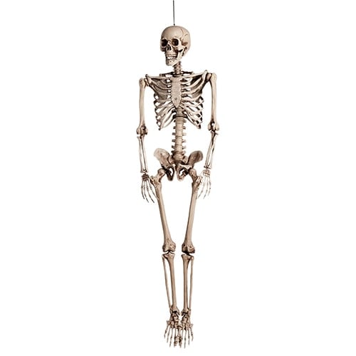 Halloween Skeleton Lifesize Hanging Prop Decoration 150cm Product Image