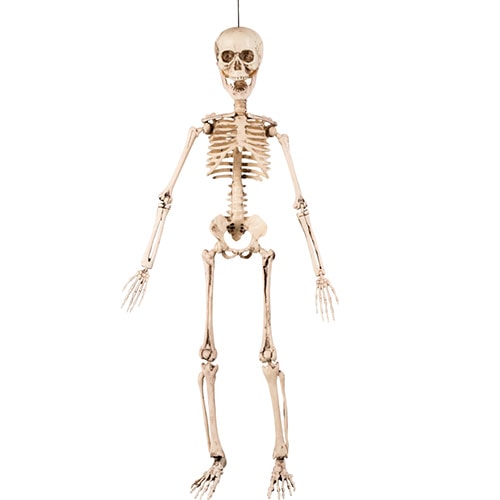 Halloween Prop Movable Skeleton Hanging Decoration 50cm Product Gallery Image