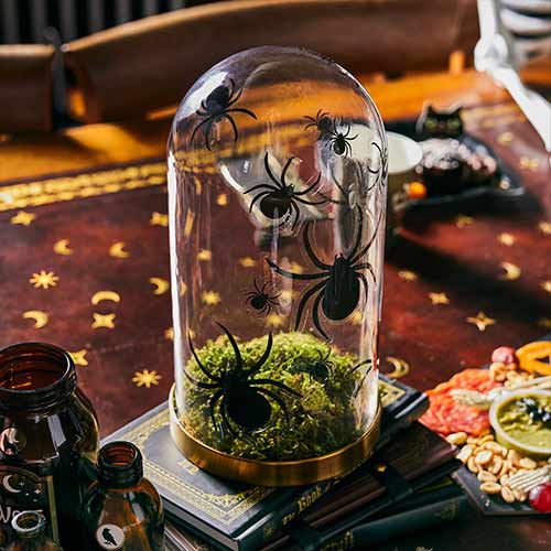 Black Spider Halloween Window Clings Decorations - Pack of 3 Product Gallery Image