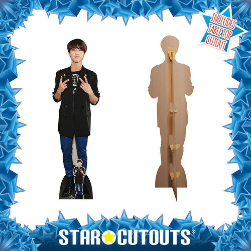 Han K-Pop Lifesize Cardboard Cutout 170cm Product Gallery Image