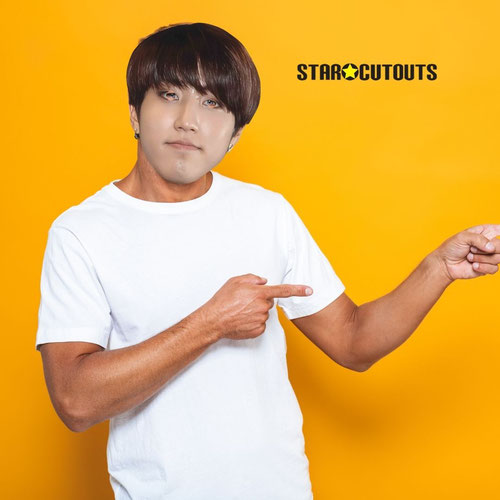 Han Stray Kids K-Pop Cardboard Face Mask Product Gallery Image