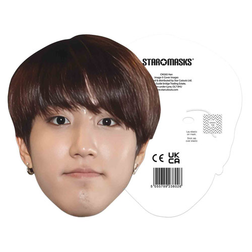 Han Stray Kids K-Pop Cardboard Face Mask Product Gallery Image