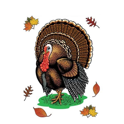 Happy Thanksgiving Turkey Clings - 15 Inches / 38cm Product Image