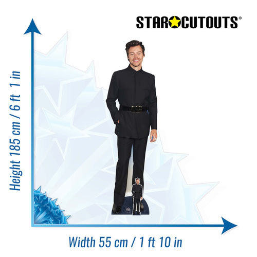 Harry Smiling Happy Styles Black Suit Lifesize Cardboard Cutout 185cm Product Gallery Image