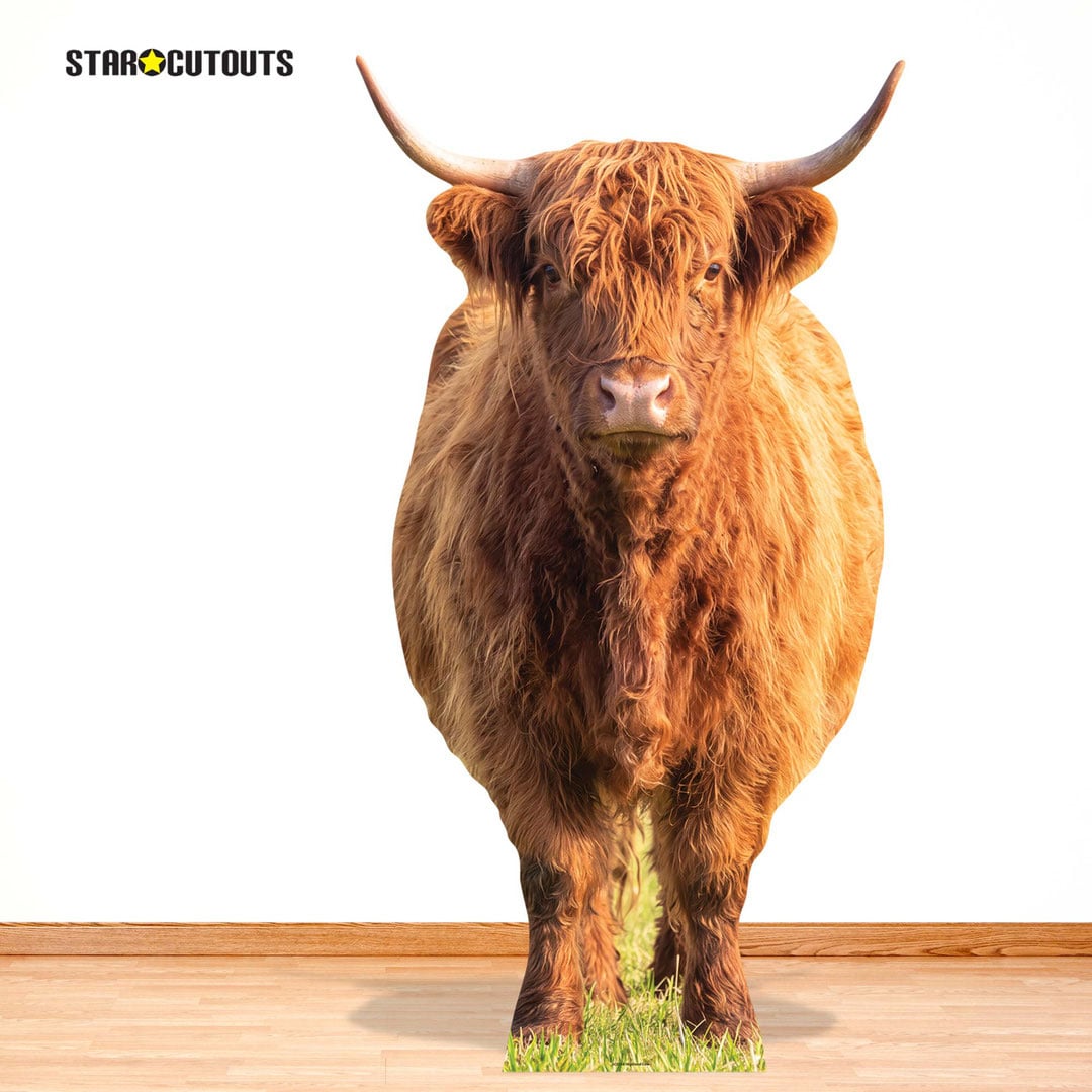 Highland Cow in Meadow Lifesize Cardboard Cutout 168cm View 8