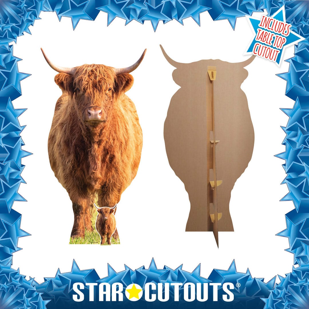 Highland Cow in Meadow Lifesize Cardboard Cutout 168cm View 2