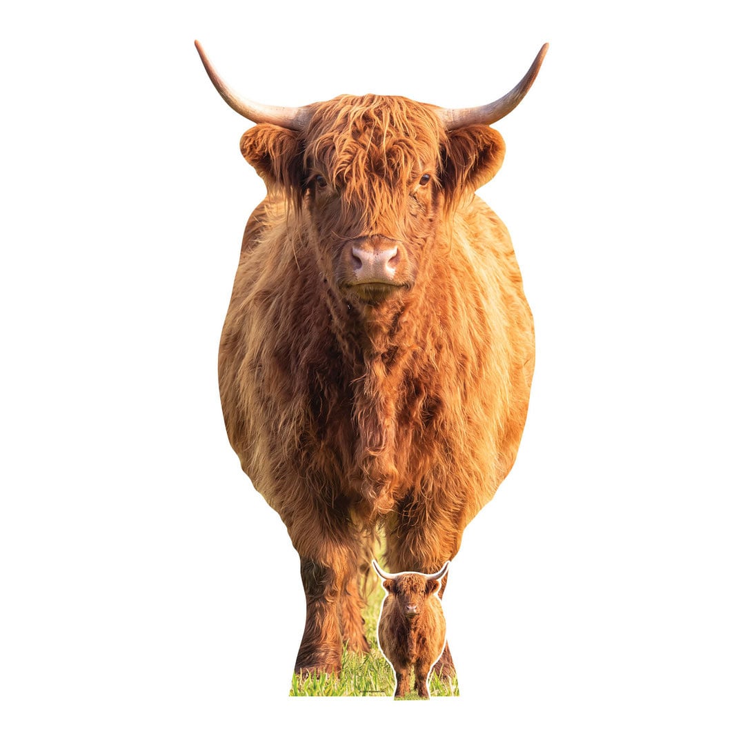 Highland Cow in Meadow Lifesize Cardboard Cutout 168cm