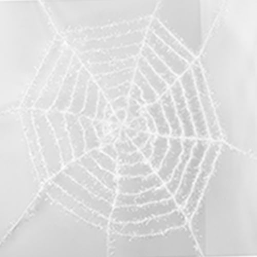 Holographic White Shimmering Cobweb Halloween Decoration 5ft Product Gallery Image