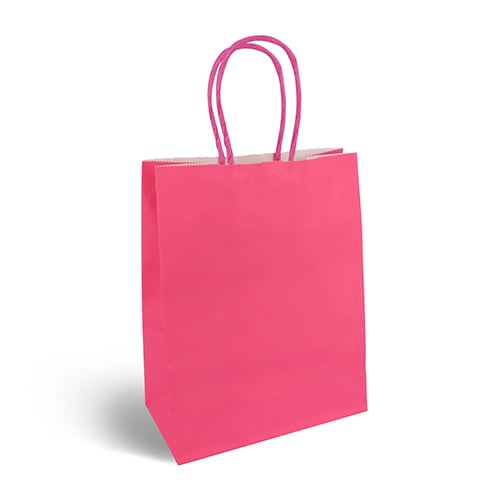 Hot Pink Paper Party Bag with Handles 22cm