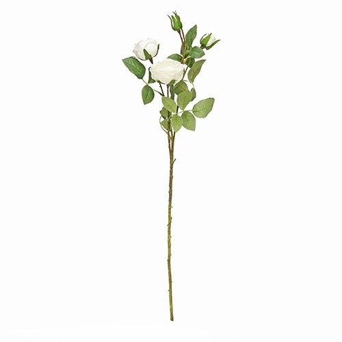 Ivory Peony Rose Spray Decoration 63cm Product Image