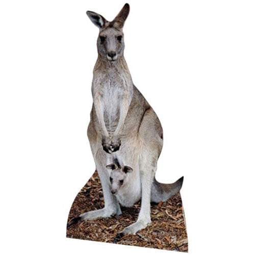 Kangaroo Lifesize Cardboard Cutout - 195cm Product Image