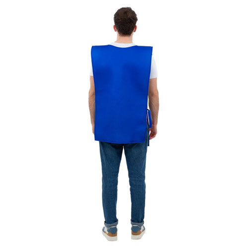 Kelloggs™ Frosties™ Cereal Box Fancy Dress Costume Unisex Adult One Size Product Gallery Image