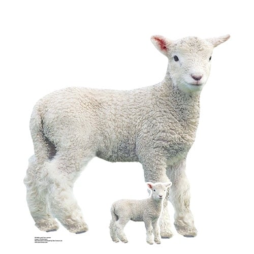 Lamb Farm Animal Star Mini Cardboard Cutout 74cm Product Gallery Image