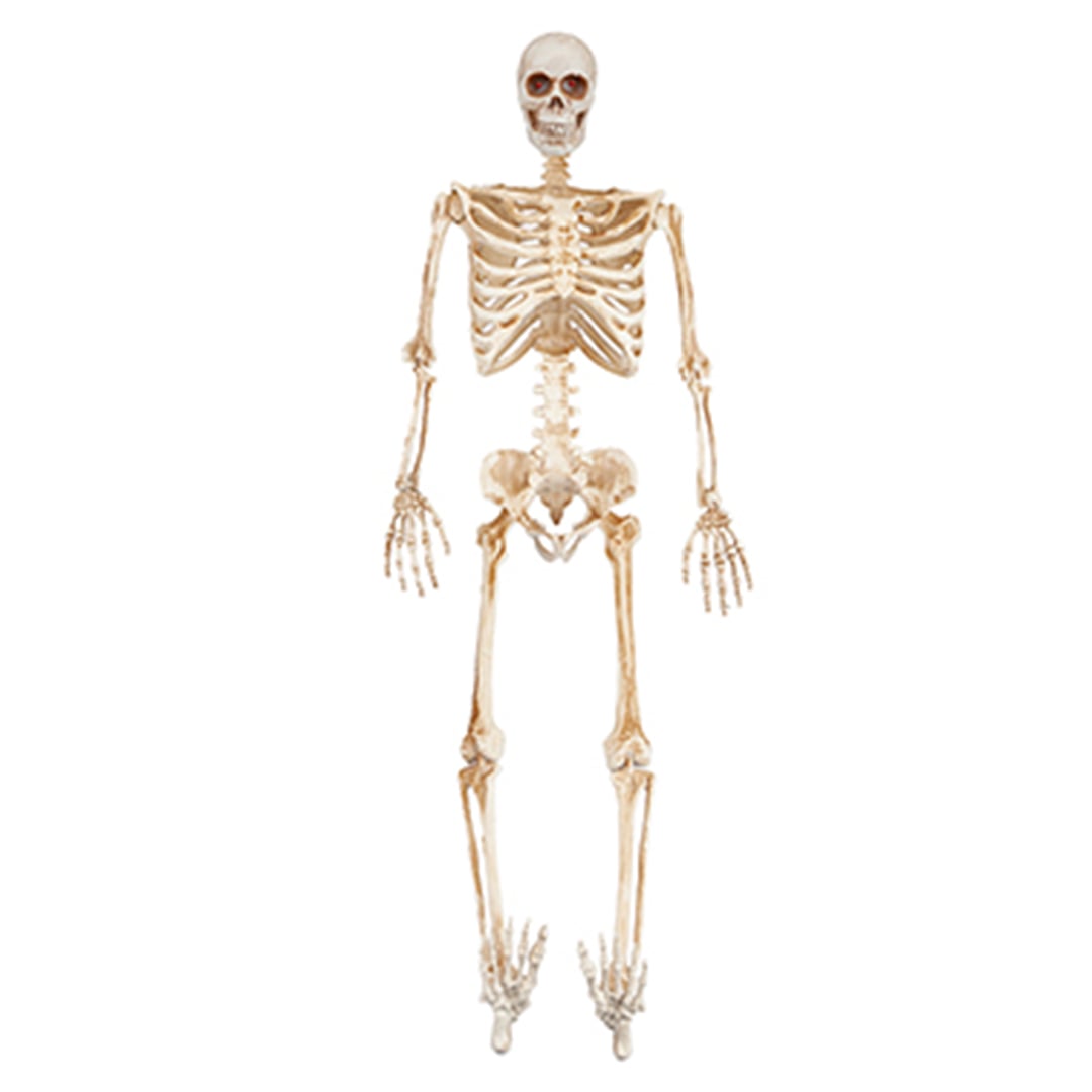 Light Up LED Eyes Skeleton Halloween Hanging Prop Decoration 91cm